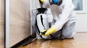 Real Estate Pest Inspections in Hewlett Harbor, NY